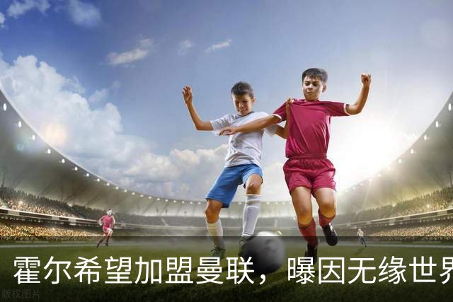 霍尔希望加盟曼联，曝因无缘世界杯与纽卡闹翻！转会费至少5000万